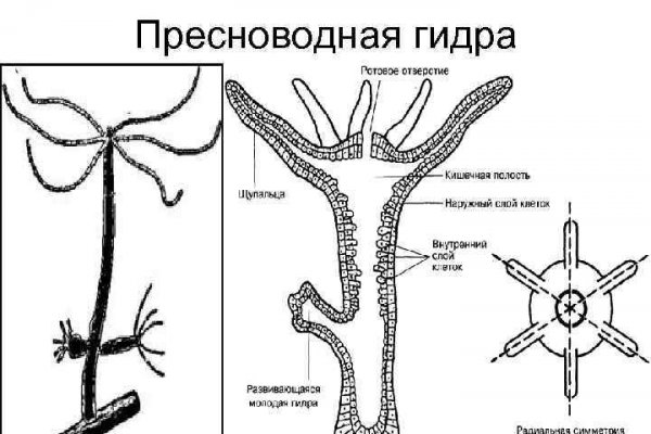 Новый домен кракена v3