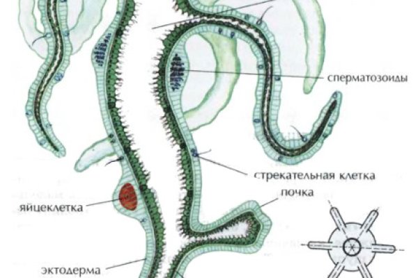 Кракен гидра даркнет