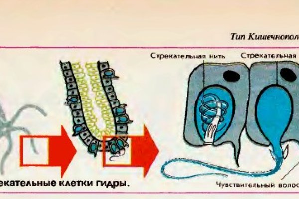 Мега зеркало рабочее на сегодня ссылка тор